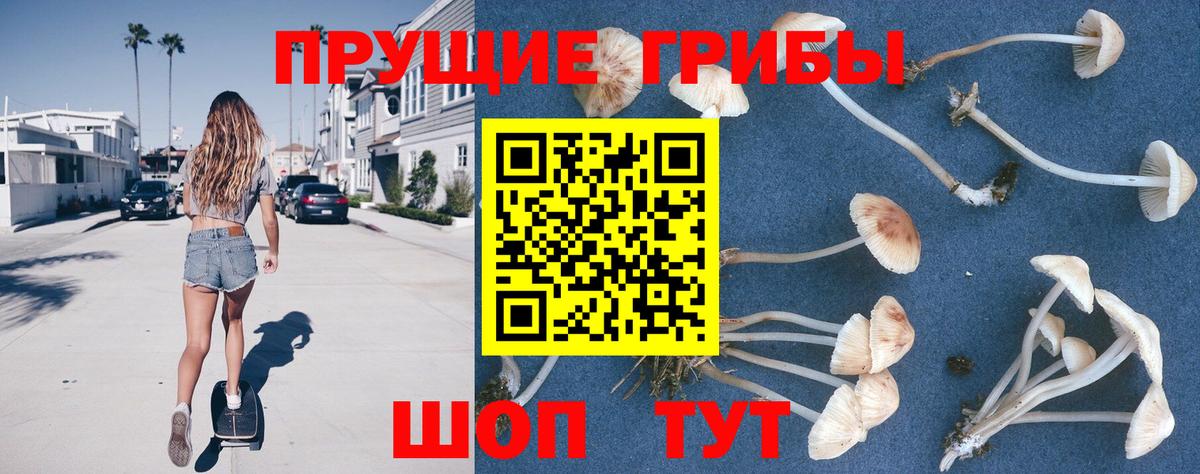 Псилоцибиновые грибы GOLDEN TEACHER Сосновый Бор